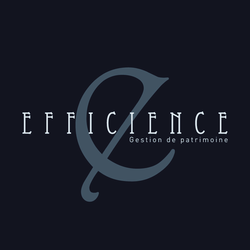 Efficience Groupe